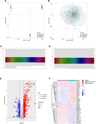 Lactylation signature identifies liver fibrosis phenotypes and traces fibrotic progression to hepatocellular carcinoma